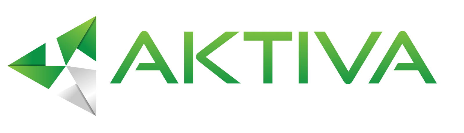 Aktiva Support System